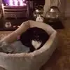 Ellen McNally - @ellen.mcnally95 - TikTok