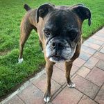 Ellen Russo McNally - @olive_meets_worldd - Instagram