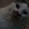 ellenmcnally8 - @ellenmcnally8 - TikTok