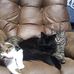 Ellen McWilliams - Facebook