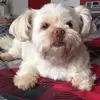 ellenmeier5 - @ellenmeier5 - TikTok