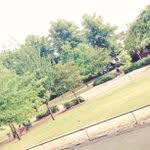 Ellen Merchant - @talesstahcooky - Instagram