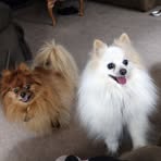 Ellen Meyer - Facebook