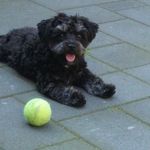 Ellen Michels - @lucky15032016 - Instagram