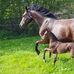 Ellen Millard - Facebook