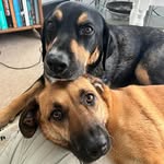 Ellen Bryne Milner - @lillamoren - Instagram