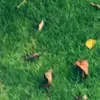 Ellen🍉 - @ellenmoffattttt - TikTok