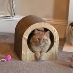 Ellen Moffat - Facebook