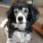 Ellen Montgomery - @ellenmontgomery20 - Instagram