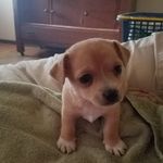 Ellen Montgomery Baker - @ellen024 - Instagram