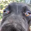Ellen Moore - @ellen.m1234 - TikTok