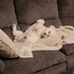 Ellen Morin - Facebook