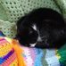 Ellen Morin - Facebook