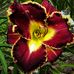 Ellen Mosley - Facebook