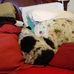 Ellen Mosley - Facebook