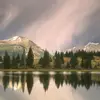 ellen_mosleye999 - @ellen_mosleye999 - TikTok