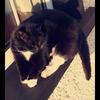 Ellen Moss🐶🌻 - @ellenmosss - TikTok