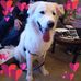 Ellen Munson - Facebook