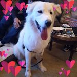 Ellen Munson - @ellmunson7 - Instagram