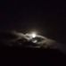 Ellen Murphy - Facebook