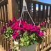 Ellen Nathan - Facebook