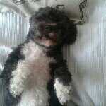 ellen neumann - @elli_3007 - Instagram
