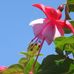 Ellen Neumann - Facebook