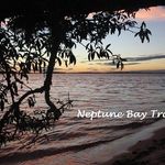 Ellen Newton - @neptunebaytraders - Instagram
