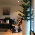 Ellen Nilsen - @frknilsen_ - Instagram