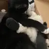 Ellen.Nilsen - @ellennilsenismjrzuk - TikTok