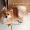 Ellen Nolan - @ellen.nolan - TikTok