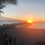 Ellen Nolan Gard - @enolangard - Instagram
