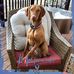 Ellen Noonan - Facebook