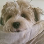 Mary Ellen Noonan - @maryellennoonan - Instagram