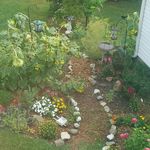 Ellen Nutter - @napgarden - Instagram