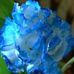 Ellen Nutter - Facebook