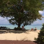 ellenottosson01 - @ellenottosson01 - Instagram