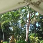 Ellen Palma - Facebook