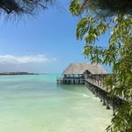 Ellen Palmans - @ellen.palmans - Instagram
