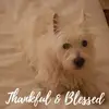 Ellen Palmasano - @ellenpalmasano1 - TikTok