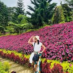 Lhen Palma Pantig - @ellen.palma.9638 - Instagram