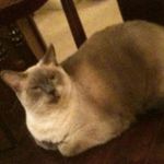 Ellen Parnell - @ellen.parnell.16 - Instagram