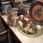 Ellen Parrish - @ellen.parrish.10 - Instagram