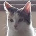 Ellen Parrish - Facebook