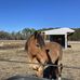 Ellen Patterson - Facebook