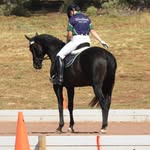 ellen patterson - @ellenn.eventing - Instagram