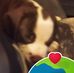 Ellen Patterson - Facebook