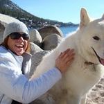 Mary Ellen Pearlman - @retrofarms - Instagram