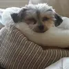 Ellen Pendleton629 - @user603883970087 - TikTok