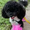 Penny & Ellen - @penny.ellen7 - TikTok